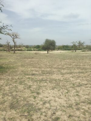 Lot de Terrain de 150 m² à Vendre à Thiés/Keur Matar – 1 300 000 FCFA